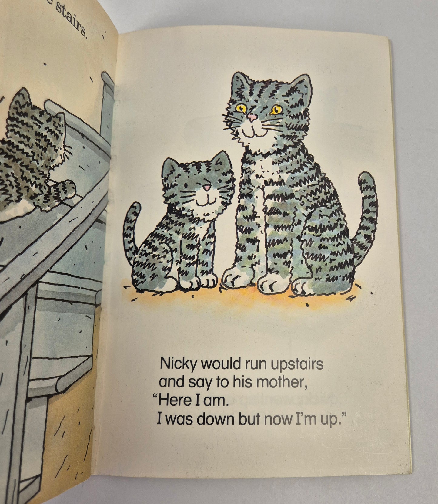 Nicky Upstairs and Down by Harriet Ziefert