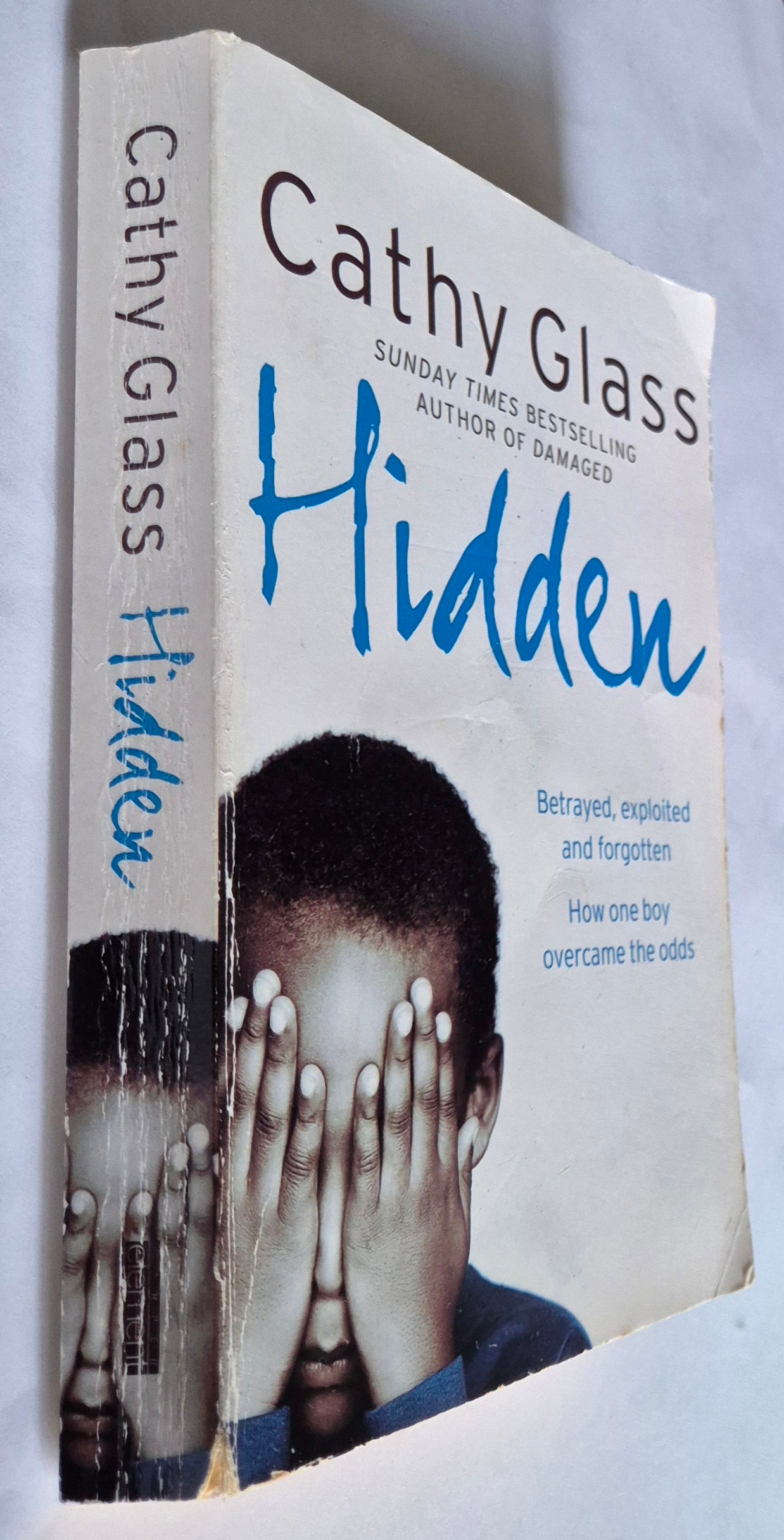 Hidden by Cathy Glass
