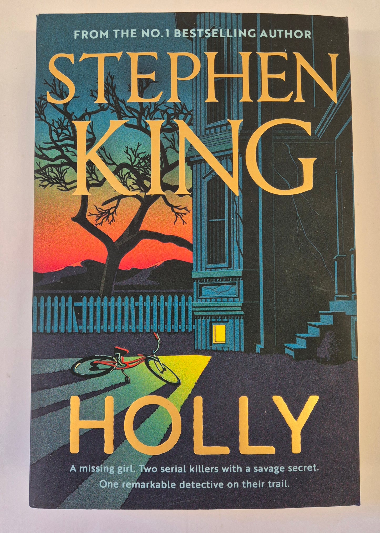 Holly (Holly Gibney #3) by Stephen King
