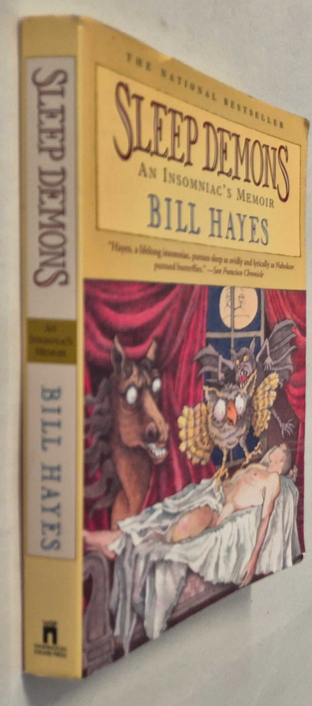 Sleep Demons: An Insomniac's Memoir by Bill Hayes