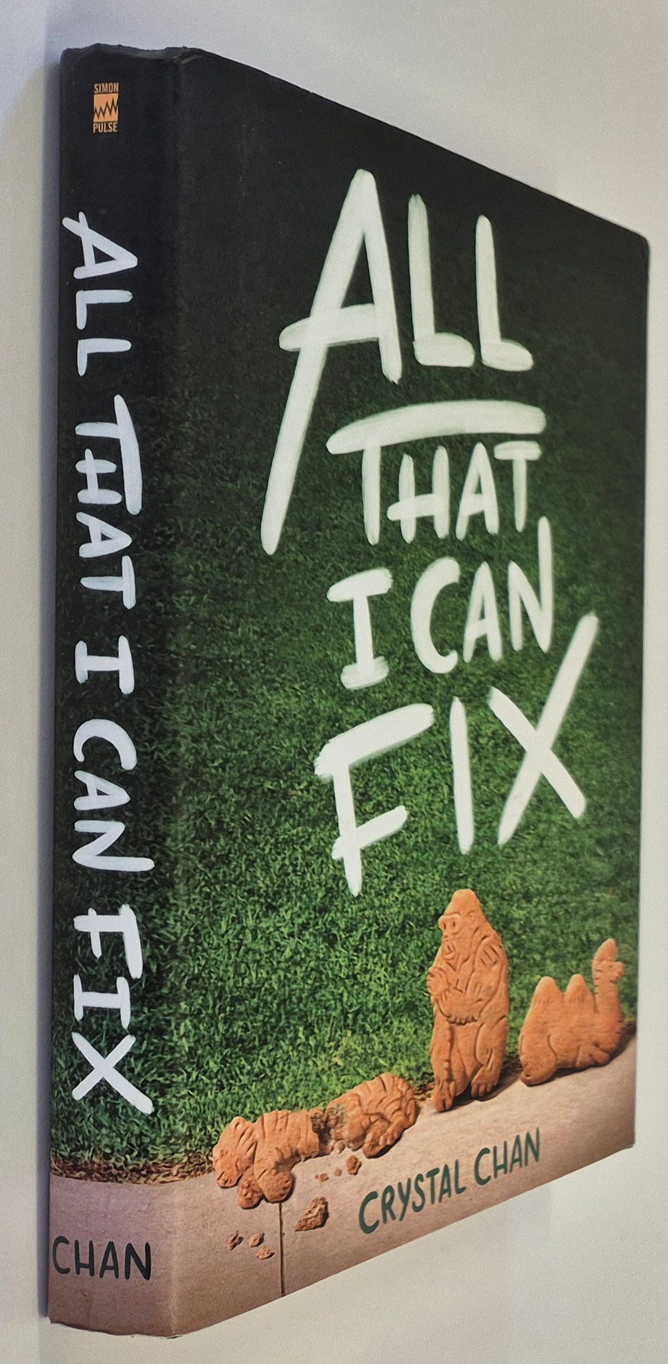 All That I Can Fix by Crystal Chan