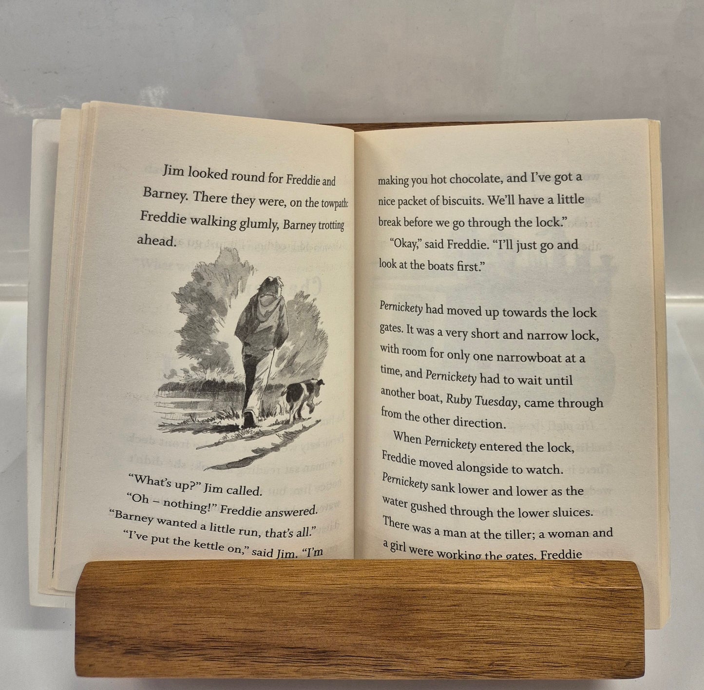 Fairground Surprise (Barney The Boat Dog) by Linda Newbery