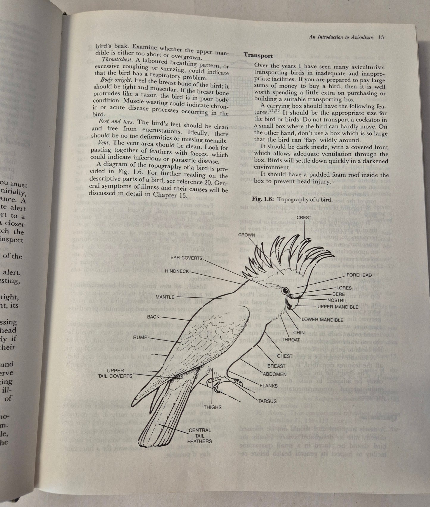 Aviculture in Australia: Keeping and Breeding Aviary Birds by Mark Shephard
