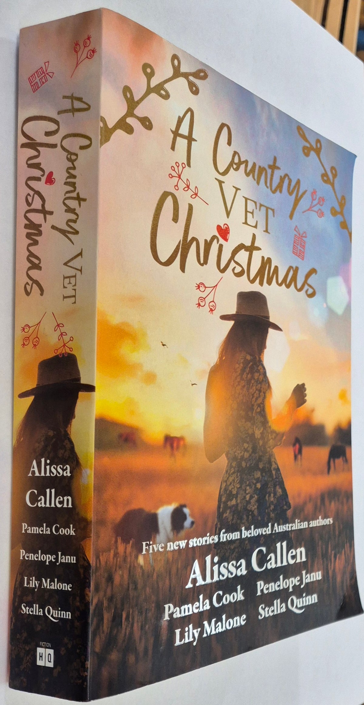 A Country Vet Christmas by Alissa Callen