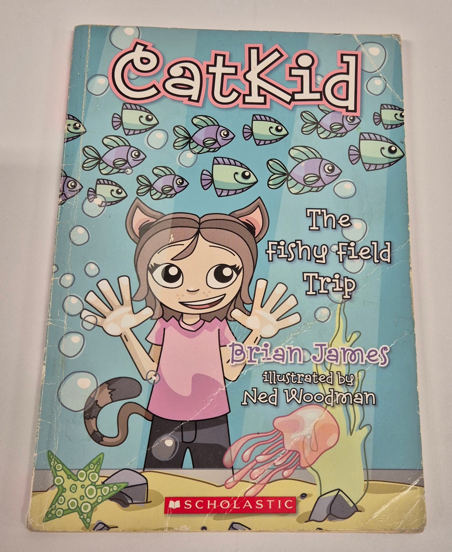 The Fishy Field Trip (CatKid #2) by Brian James