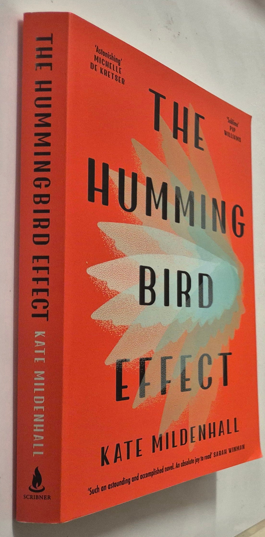 The Hummingbird Effect by Kate Mildenhall