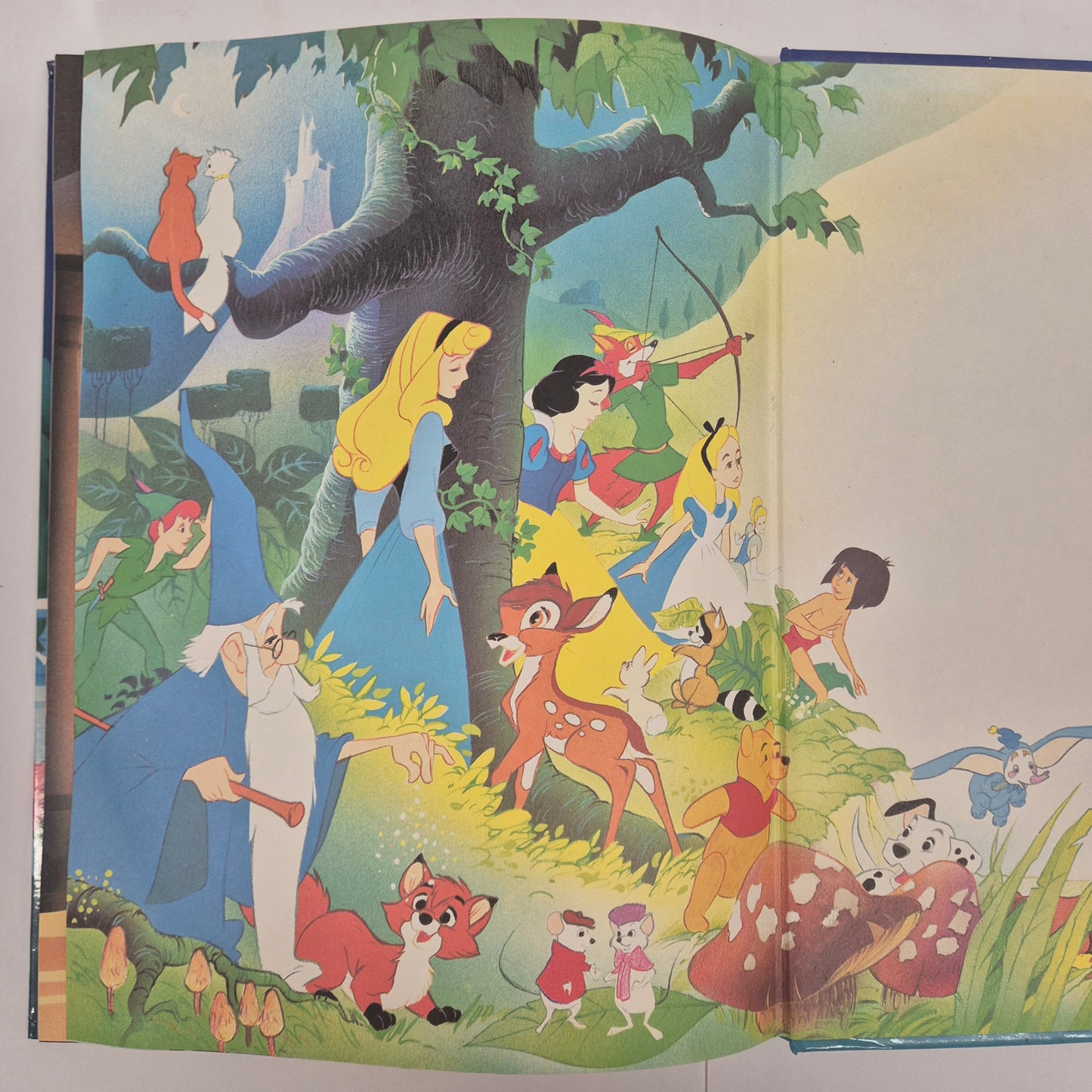 Disney's Beauty and the Beast (Disney Publishing Budget Books 1991)