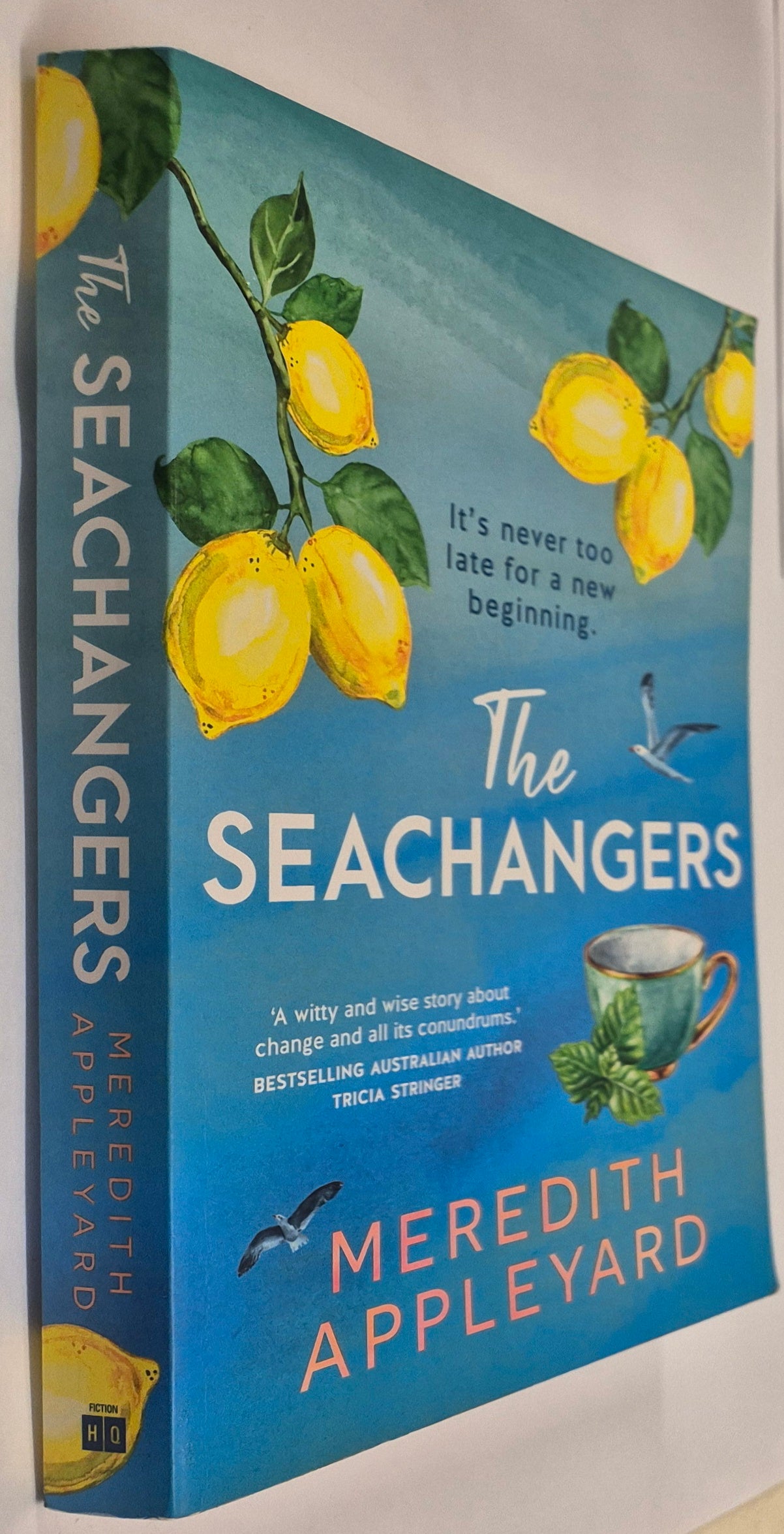 The Seachangers by Meredith Appleyard
