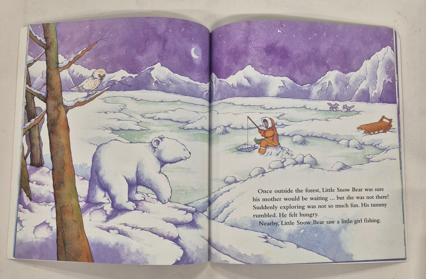Snow Bear by Piers Harper