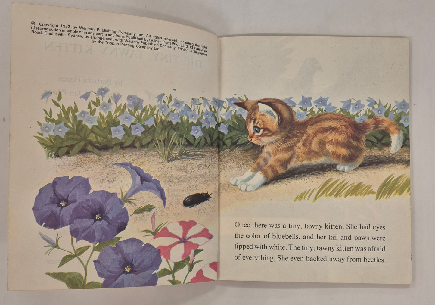 The Tiny Tawny Kitten (a Little Golden Book) by Barbara Hazen