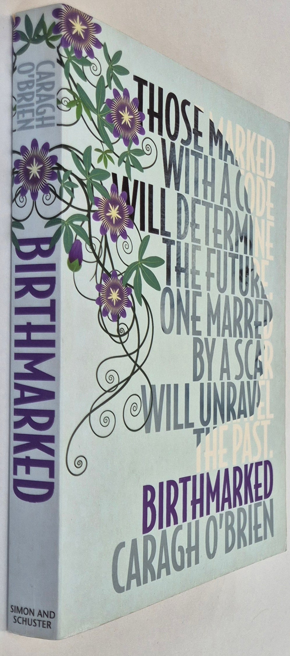 Birthmarked (Birthmarked #1) by Caragh O'Brien