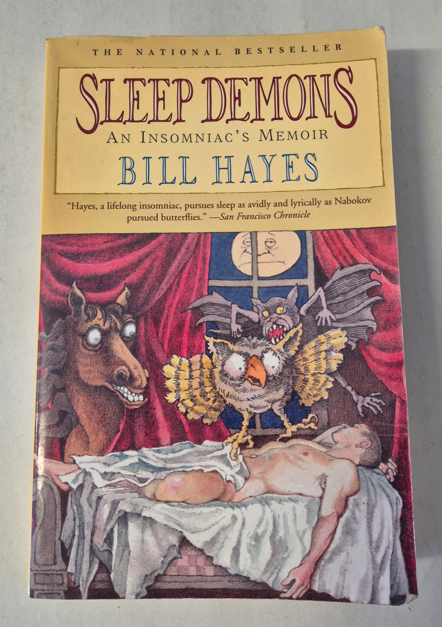 Sleep Demons: An Insomniac's Memoir by Bill Hayes