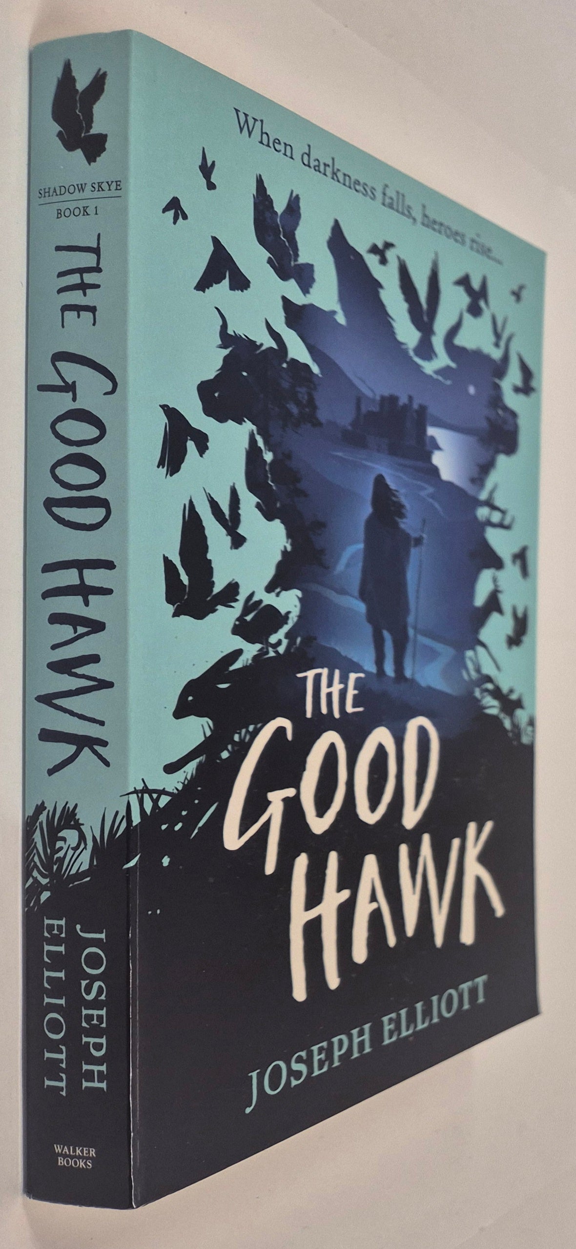 The Good Hawk (Shadow Skye #1) by Joseph Elliott