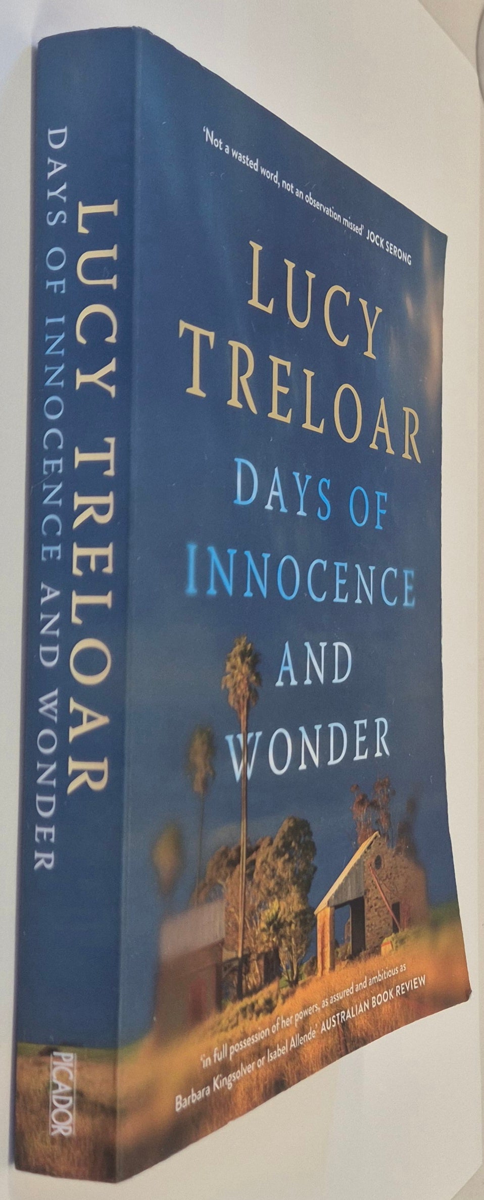 Days of Innocence and Wonder by Lucy Treloar